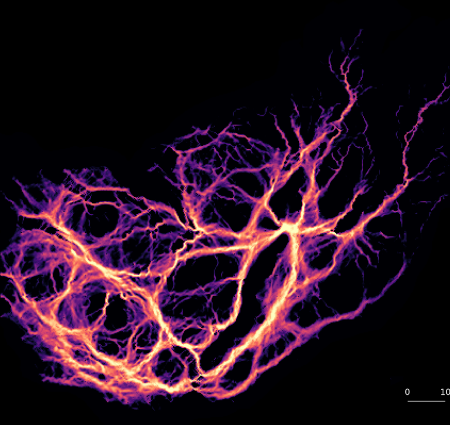 Software & algorithms