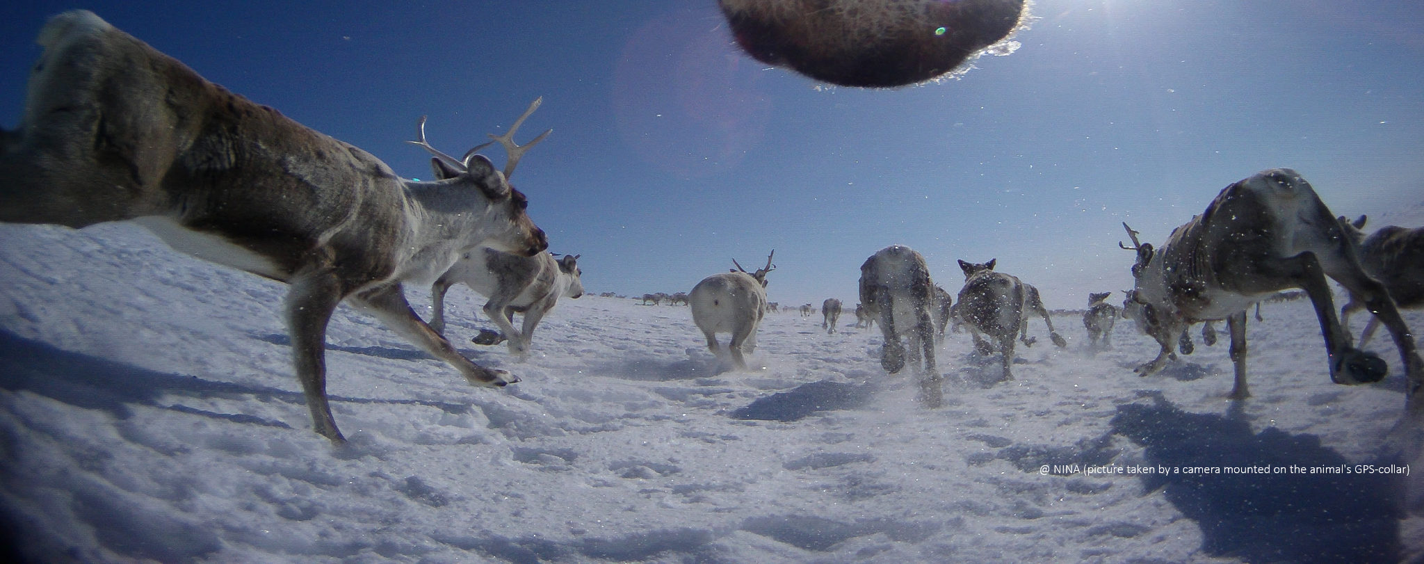 STATISTICS ON HABITAT LOSS & ITS DRIVERS